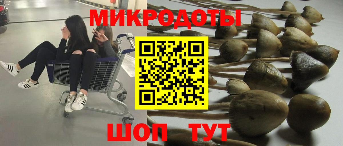 где купить   Псилоцибиновые грибы Psilocybe  Вход с VPN  Псилоцибиновые грибы GOLDEN TEACHER  Минусинск 